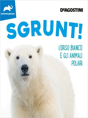 cover image of SGRUNT!